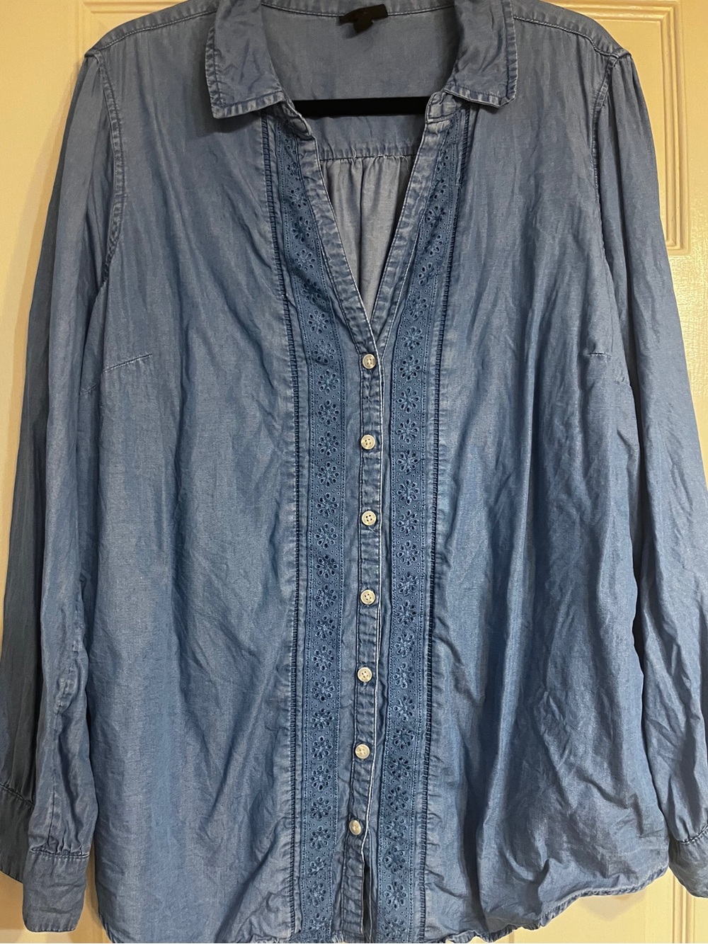torrid Light Blue Embroidered Button-Front Shirt